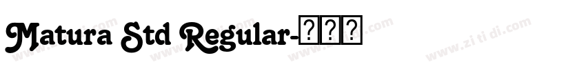 Matura Std Regular字体转换